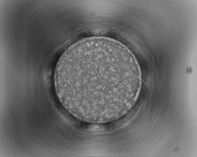 X0000101950319200808151258