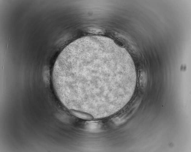 X0000101950320200808151258