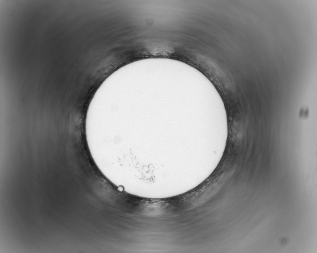 X0000101950321200808151258