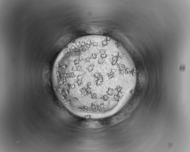 X0000101950322200808151258