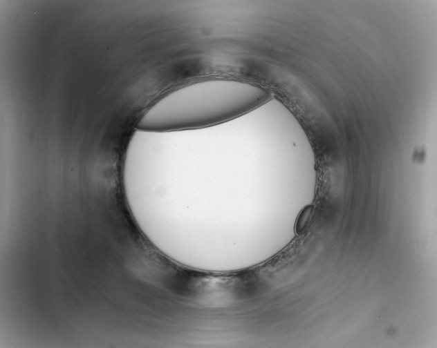 X0000101950323200808151258
