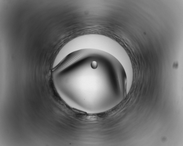 X0000101950324200808151258