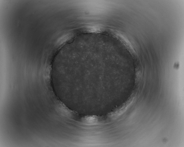 X0000101950325200808151258