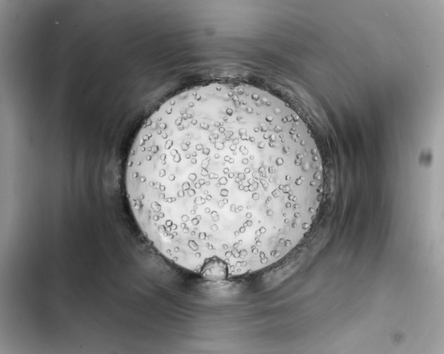 X0000101950326200808151258
