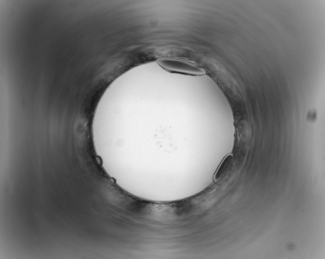 X0000101950327200808151258