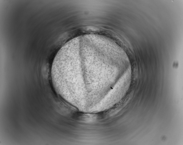 X0000101950328200808151258