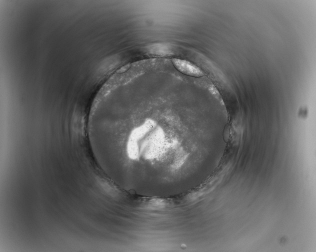 X0000101950330200808151258