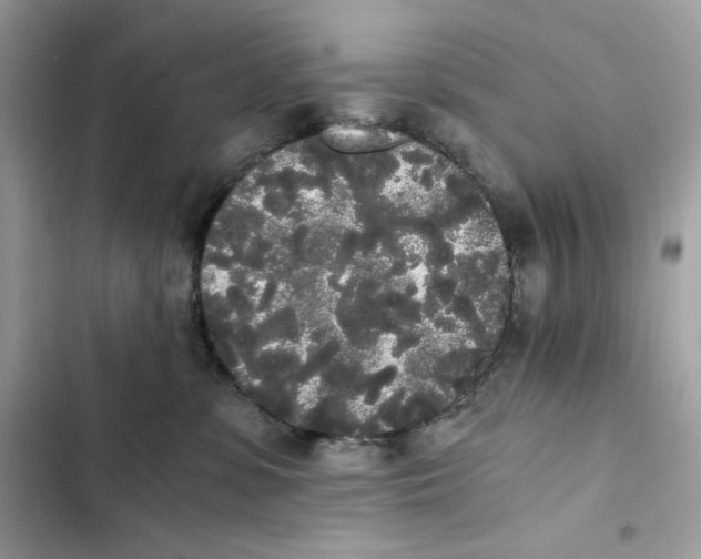 X0000101950331200808151258