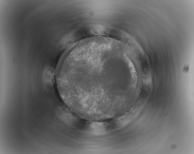 X0000101950332200808151258