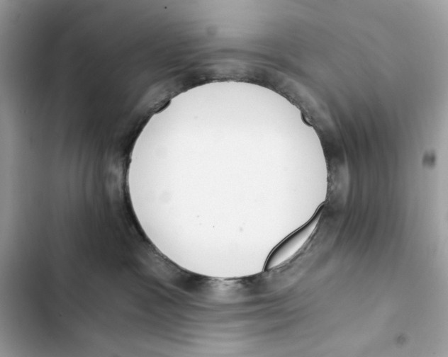X0000101950333200808151258