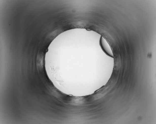 X0000101950334200808151258
