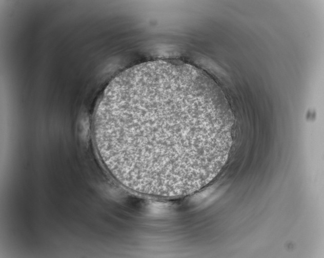 X0000101950336200808151258