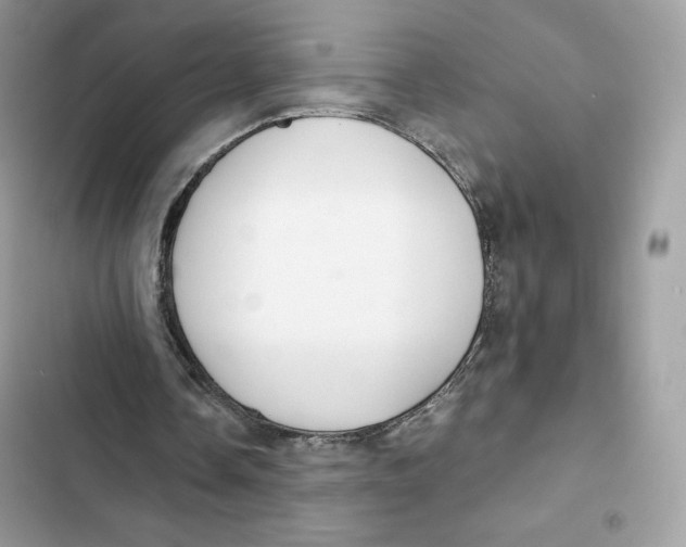 X0000101950338200808151258