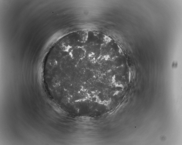 X0000101950339200808151258