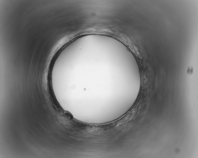 X0000101950340200808151258