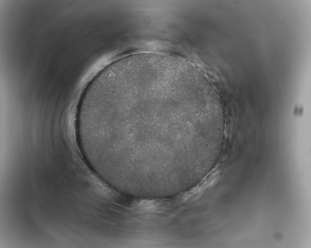 X0000101950341200808151258