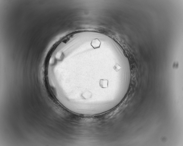 X0000101950342200808151258