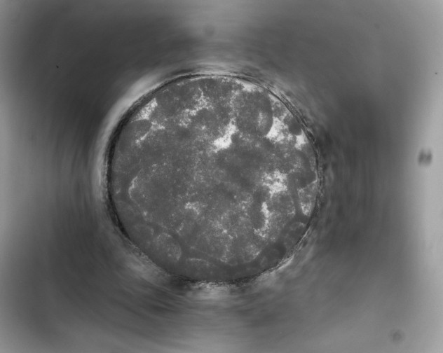 X0000101950343200808151258