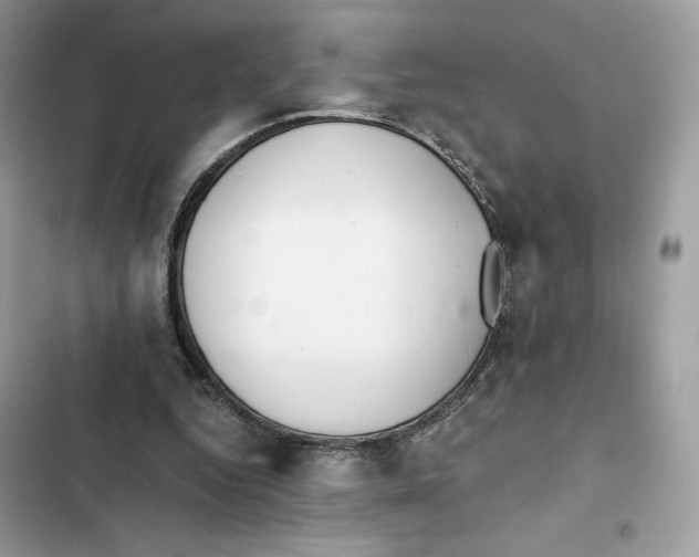 X0000101950344200808151258