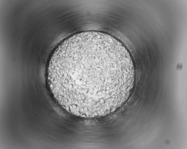 X0000101950345200808151258