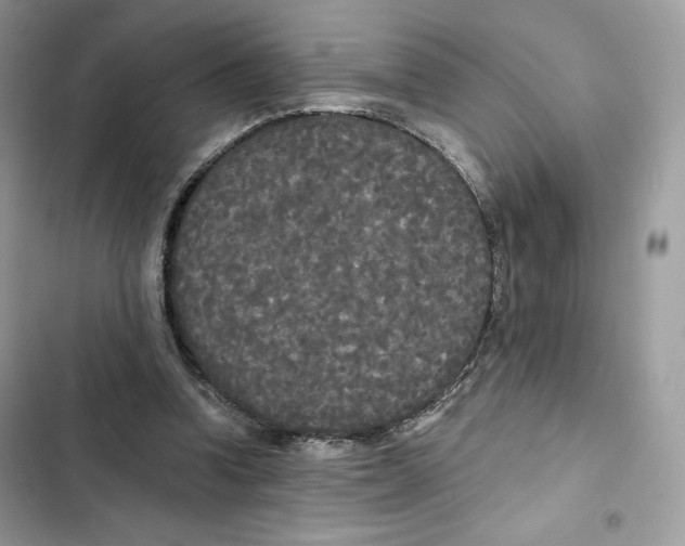 X0000101950346200808151258