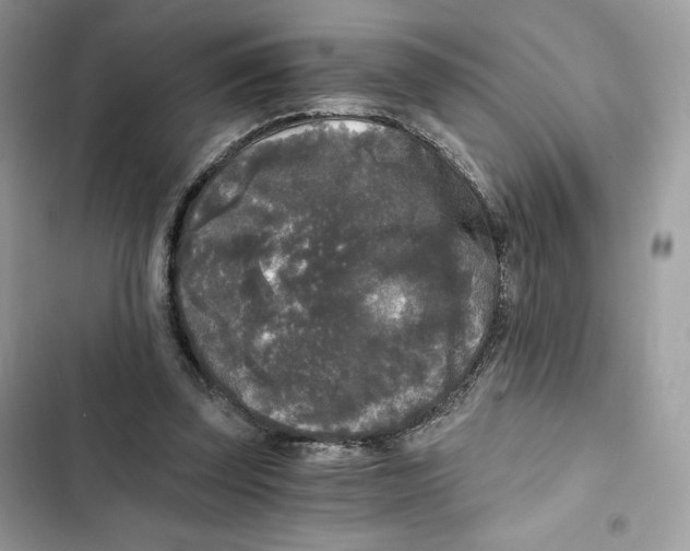 X0000101950347200808151258
