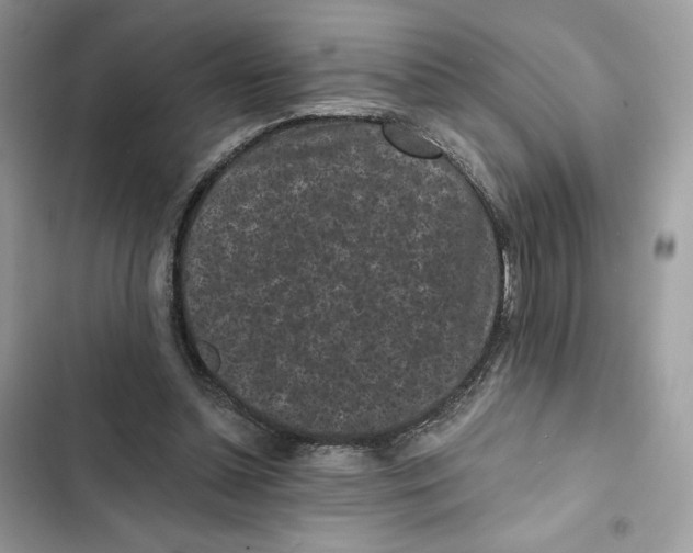 X0000101950348200808151258