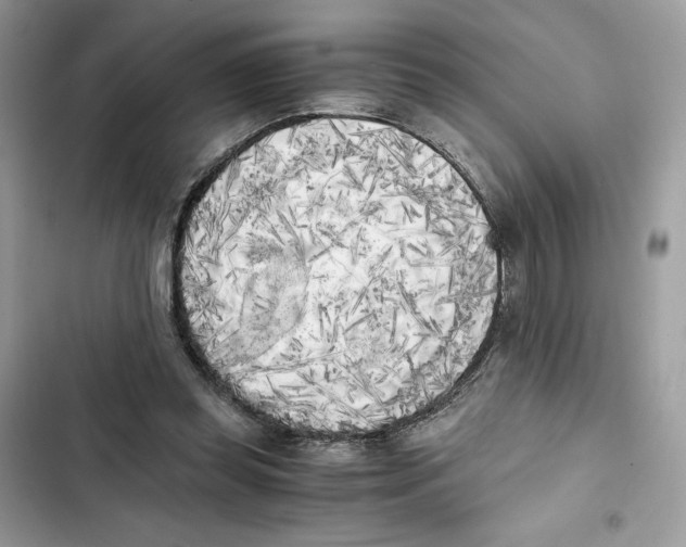 X0000101950349200808151258