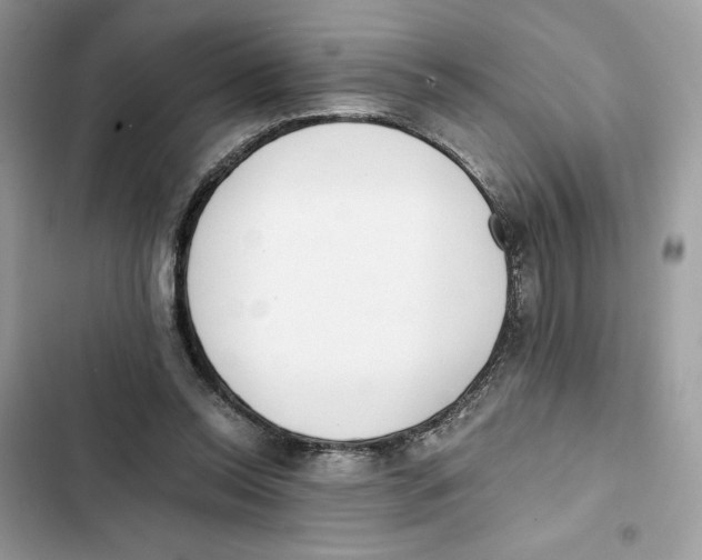 X0000101950350200808151258