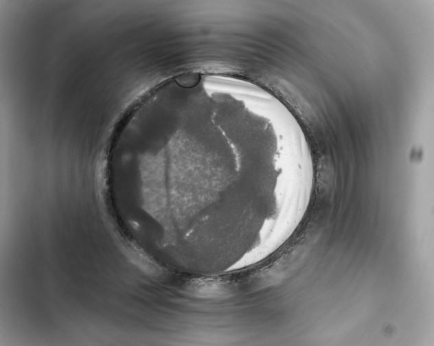 X0000101950351200808151258