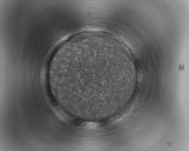 X0000101950352200808151258