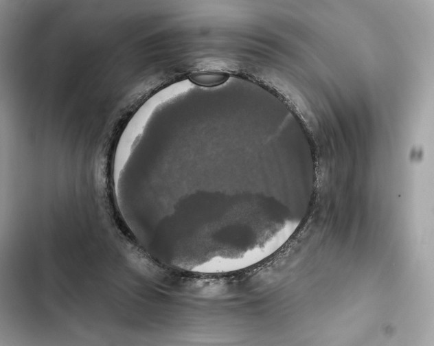 X0000101950353200808151258