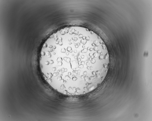 X0000101950354200808151258