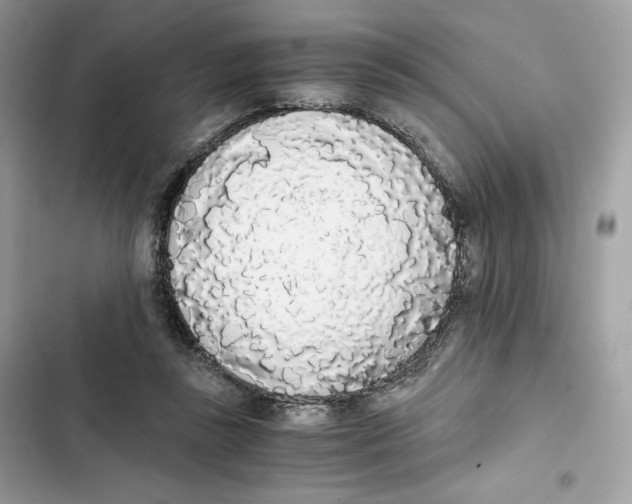 X0000101950355200808151258
