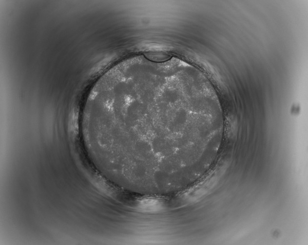 X0000101950358200808151258