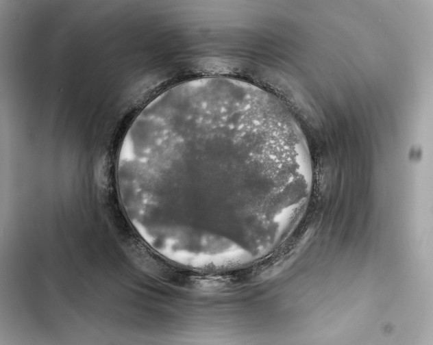 X0000101950359200808151258