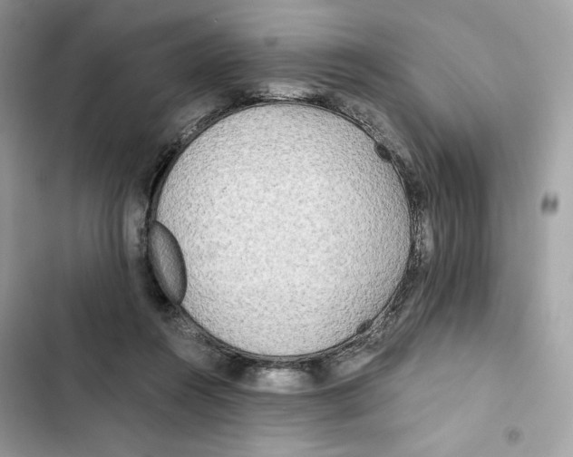 X0000101950360200808151258