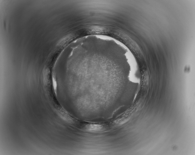 X0000101950361200808151258
