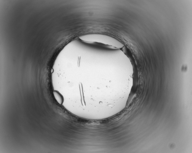 X0000101950362200808151258
