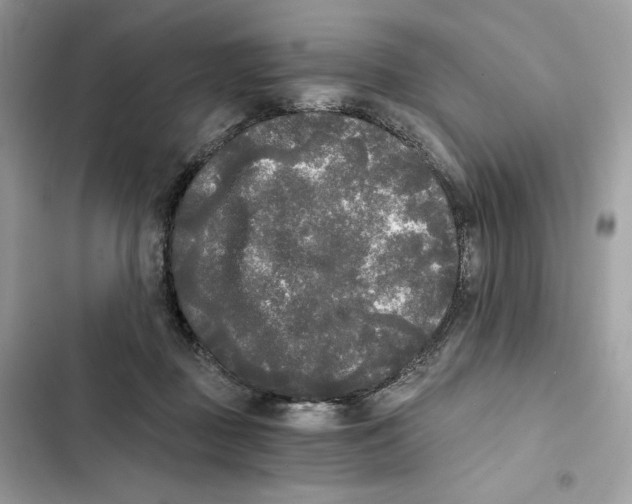 X0000101950363200808151258