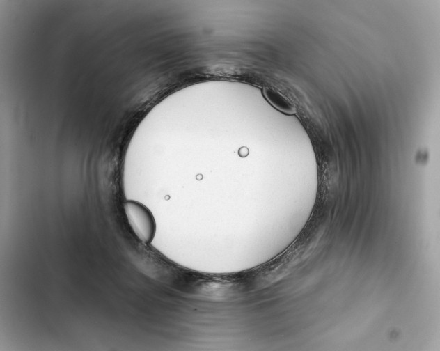 X0000101950364200808151258