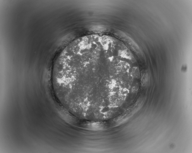 X0000101950365200808151258