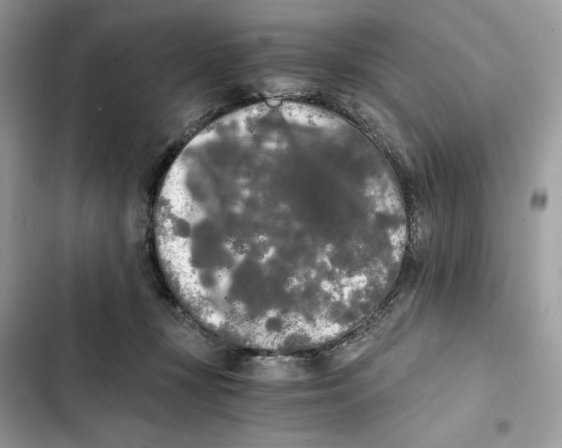 X0000101950367200808151258