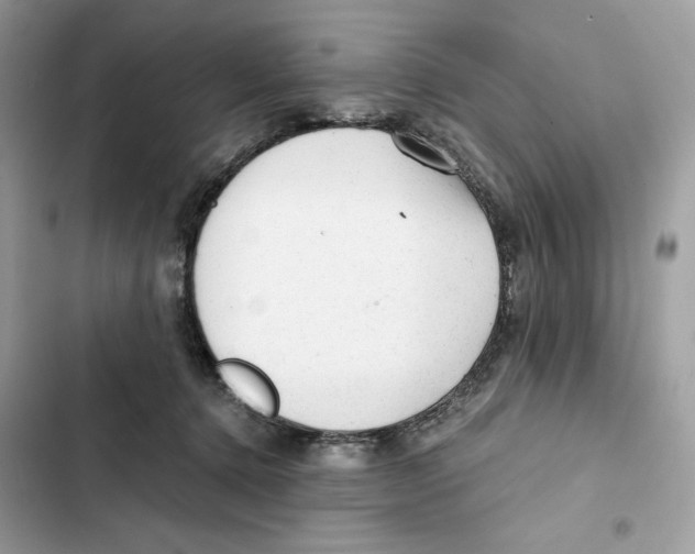 X0000101950368200808151258