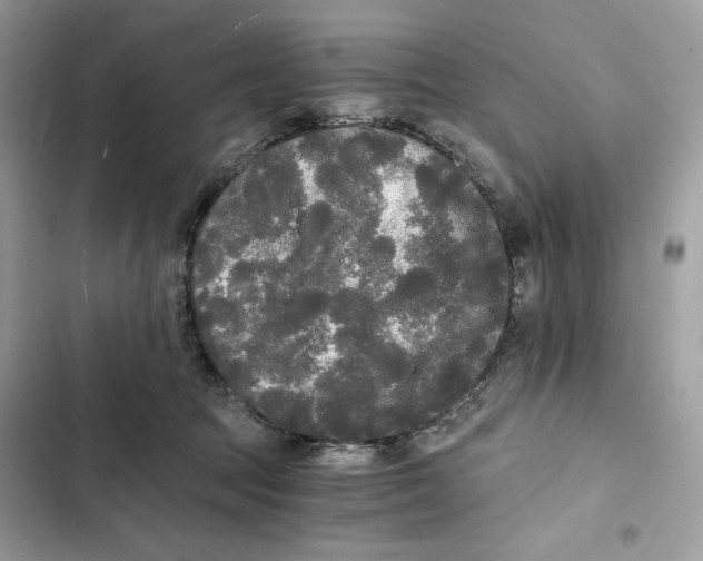 X0000101950369200808151258