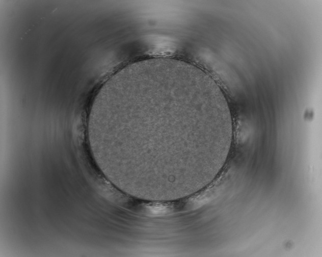 X0000101950370200808151258