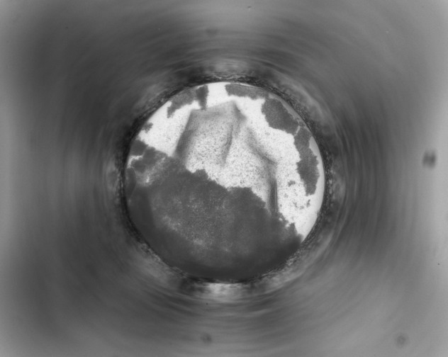 X0000101950371200808151258
