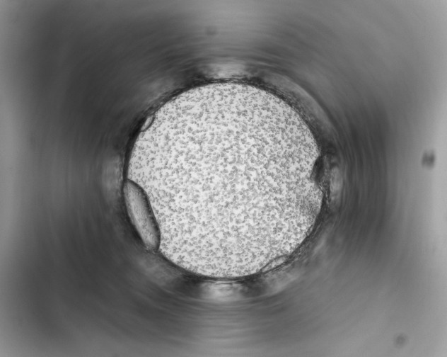 X0000101950372200808151258