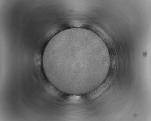 X0000101950374200808151258