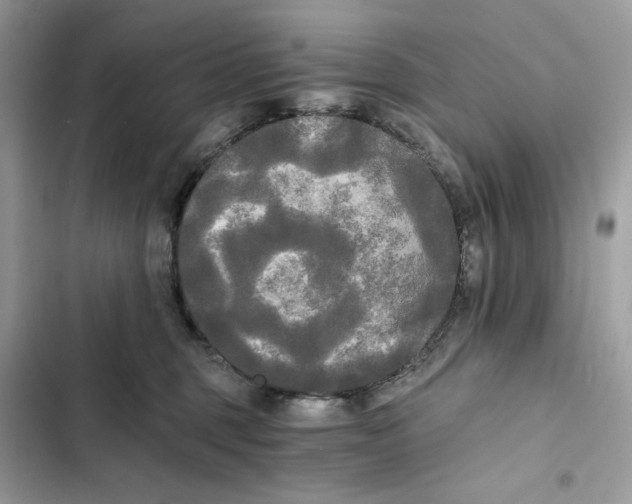 X0000101950375200808151258